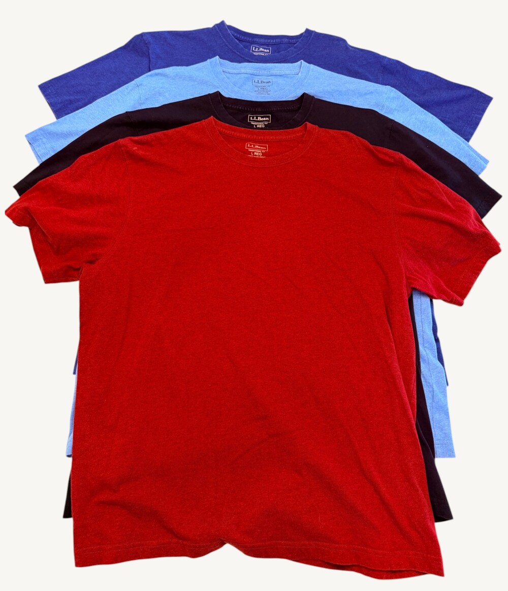 L.L.Bean Men's Large Traditional Fit T-Shirts Lot of 4 Cotton Crewneck